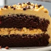 A homemade slice of Peanut Butter Chocolate Cake on a small dessert plate, featuring rich, dark brown chocolate layers paired with creamy golden-tan peanut butter frosting, garnished with chocolate shavings and a sprinkle of chopped peanuts.