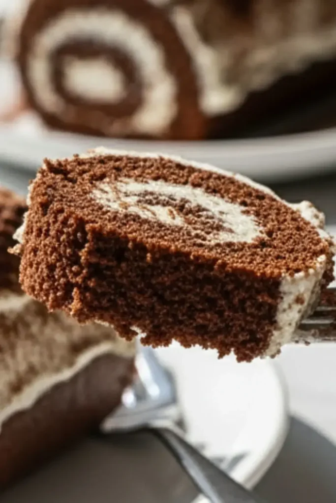 A Chocolate Cake Roll on a white ceramic dessert plate, featuring layers of rich chocolate sponge cake swirled with whipped cream filling, topped with a dusting of cocoa powder and chocolate shavings.